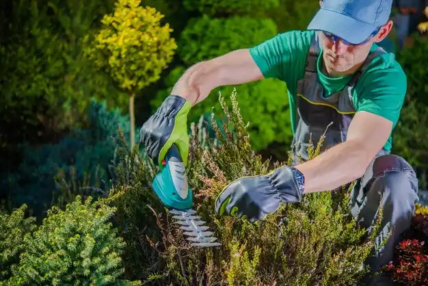 landscaping services Willowick